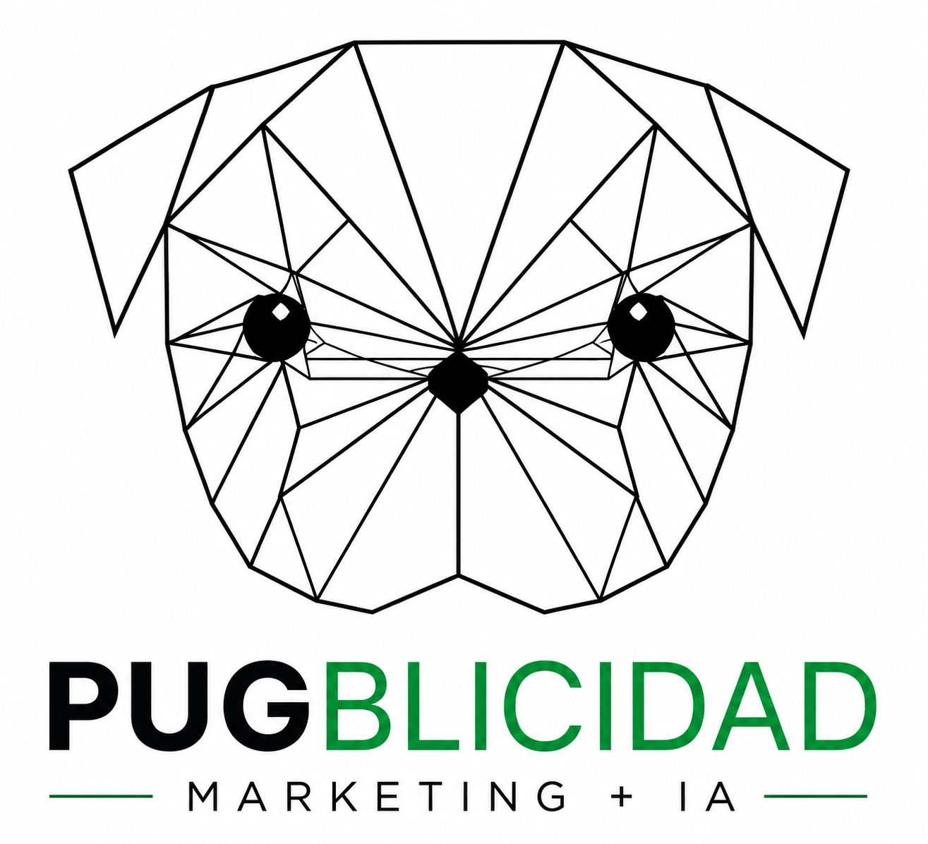 Asesor PUGBLICIDAD