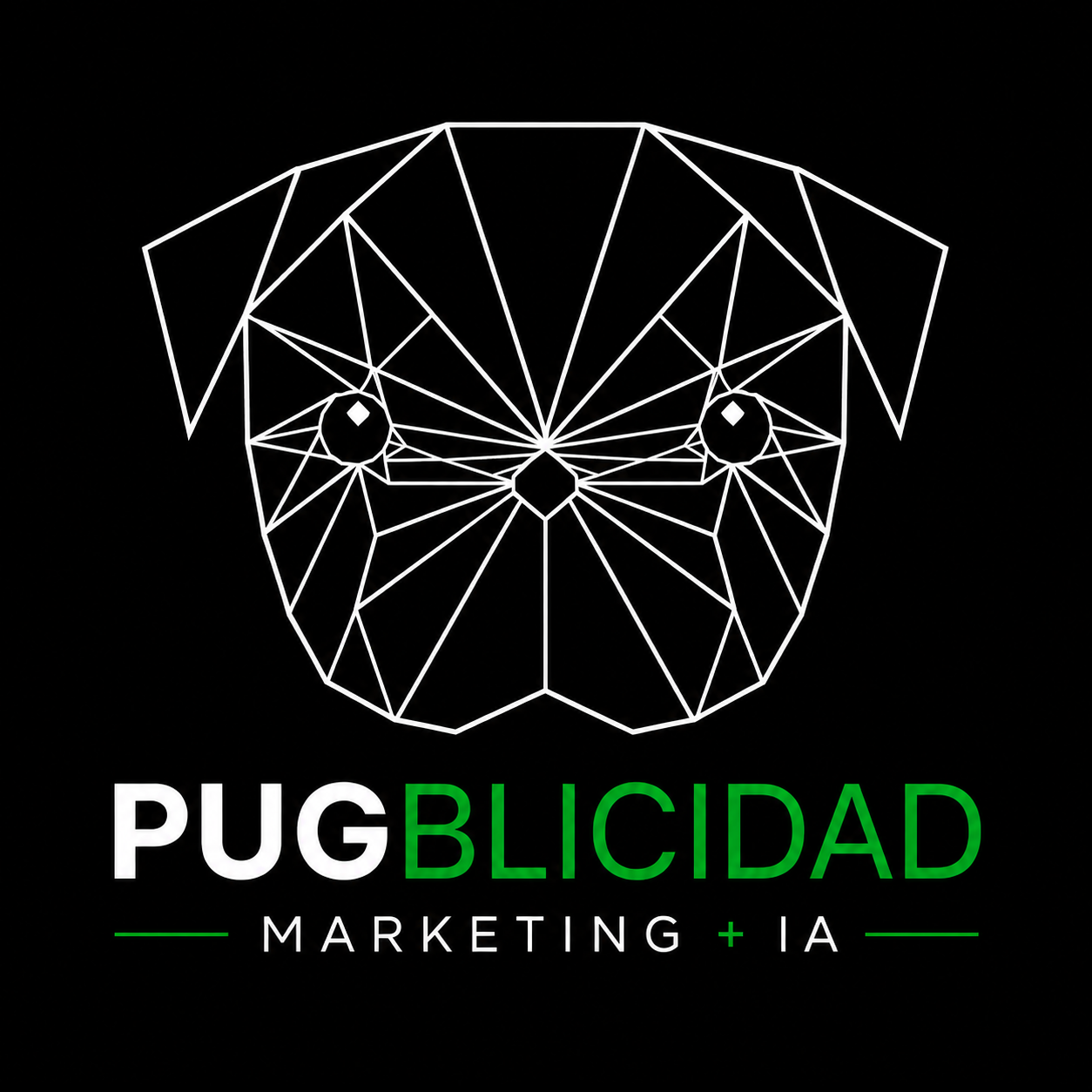 PUGBLICIDAD